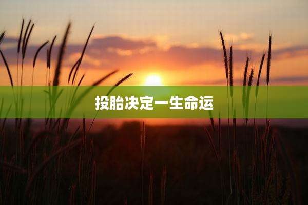 投胎决定一生命运