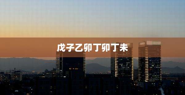 戊子乙卯丁卯丁未