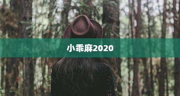 小乖麻2020