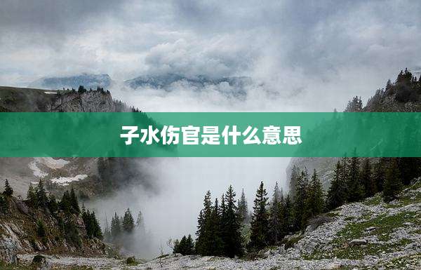 子水伤官是什么意思