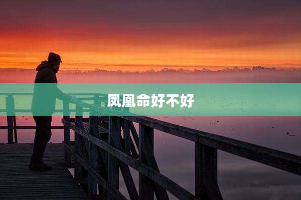 凤凰命好不好