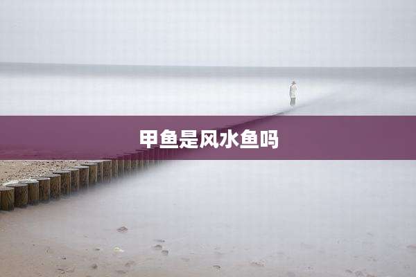 甲鱼是风水鱼吗