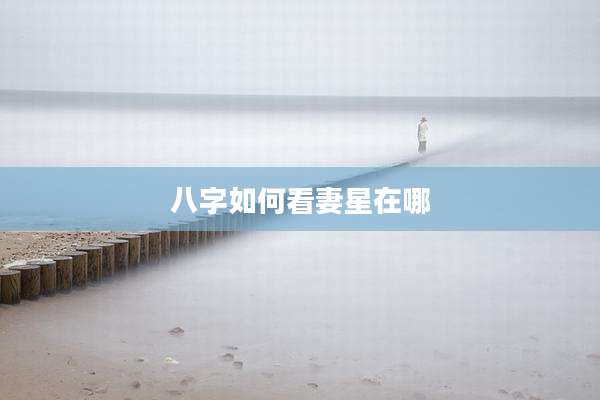八字如何看妻星在哪