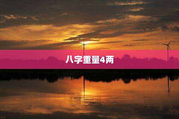 八字重量4两