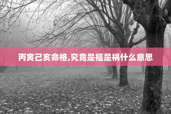 丙寅己亥命格,究竟是福是祸什么意思