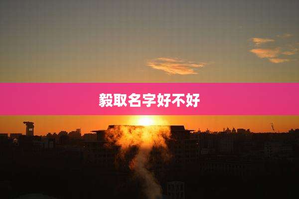 毅取名字好不好