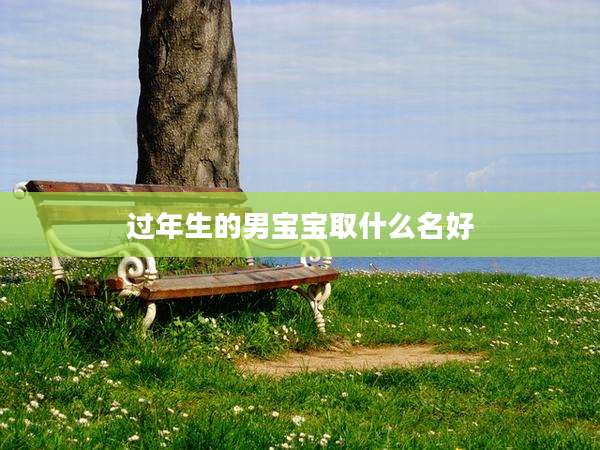 过年生的男宝宝取什么名好