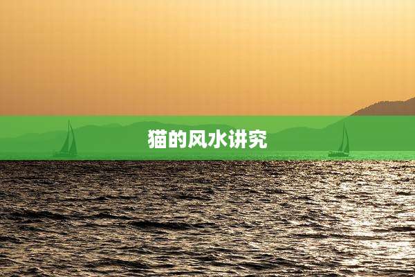 猫的风水讲究