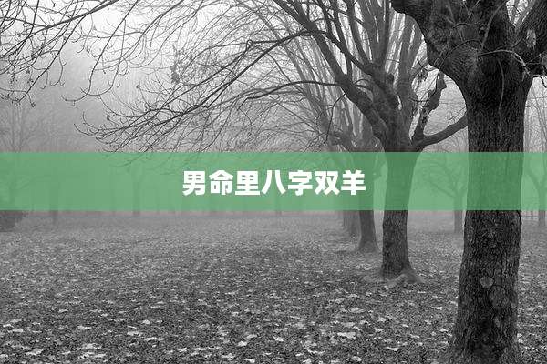 男命里八字双羊