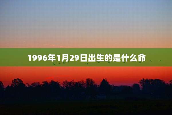 1996年1月29日出生的是什么命