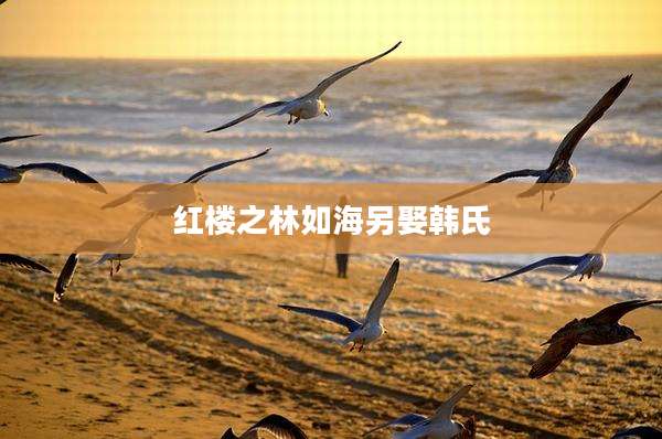 红楼之林如海另娶韩氏