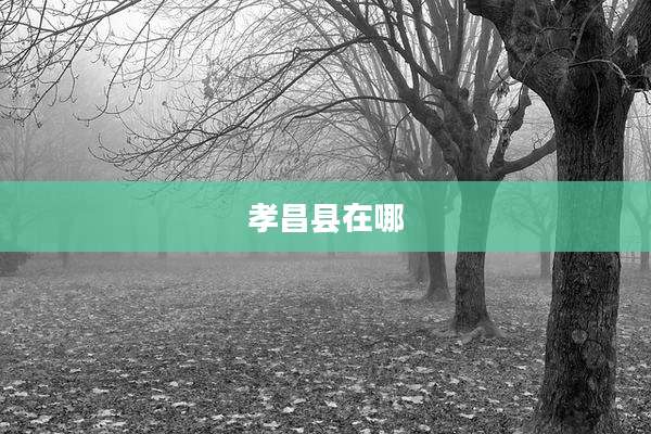 孝昌县在哪