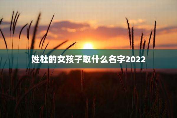 姓杜的女孩子取什么名字2022