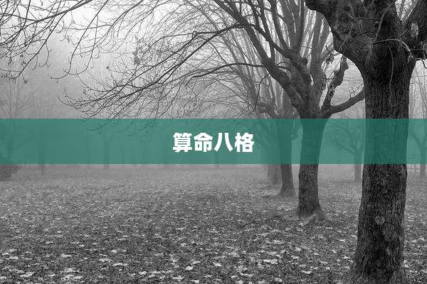 算命八格