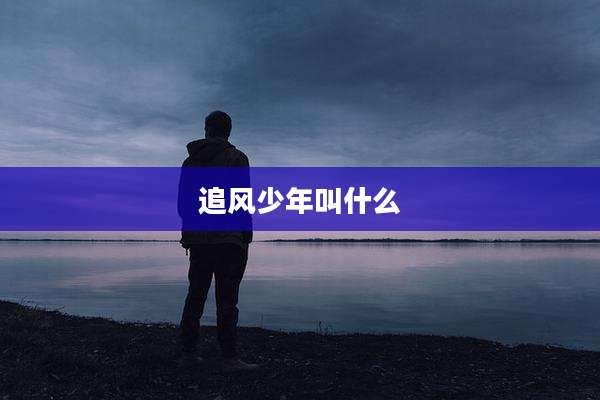 追风少年叫什么