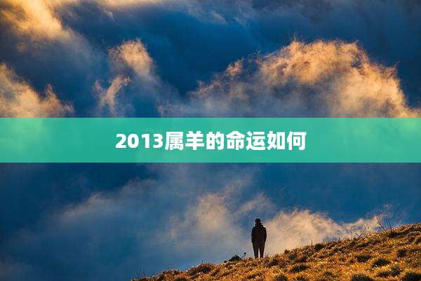 2013属羊的命运如何