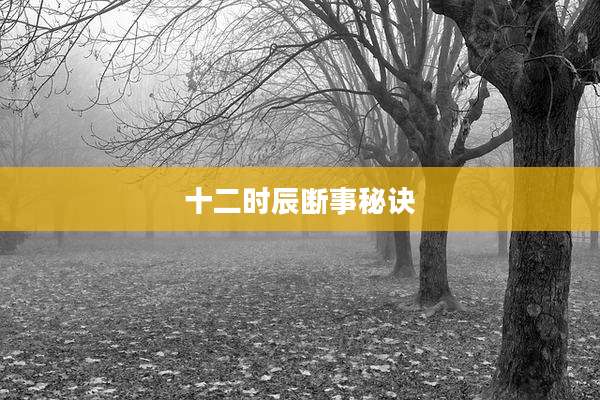 十二时辰断事秘诀