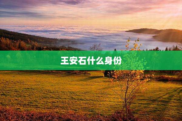 王安石什么身份