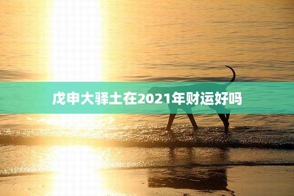 戊申大驿土在2021年财运好吗