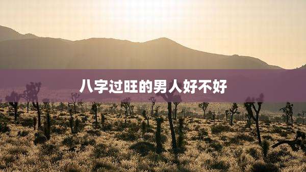 八字过旺的男人好不好