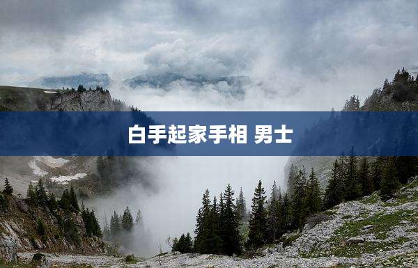 白手起家手相 男士