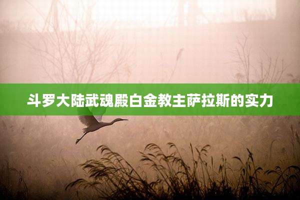 斗罗大陆武魂殿白金教主萨拉斯的实力