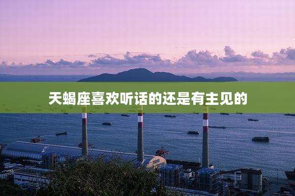 天蝎座喜欢听话的还是有主见的