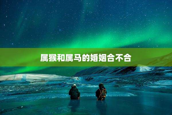 属猴和属马的婚姻合不合