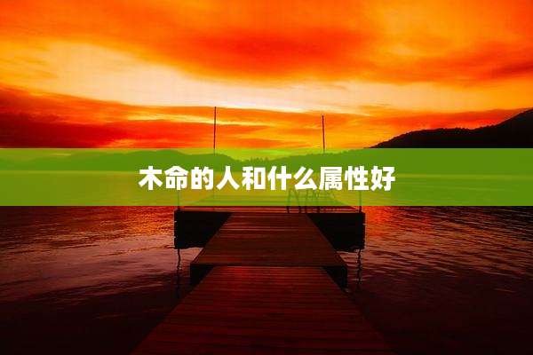 木命的人和什么属性好