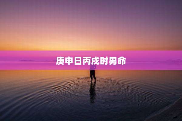 庚申日丙戌时男命