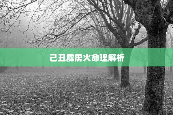 己丑霹雳火命理解析