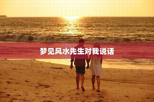 梦见风水先生对我说话