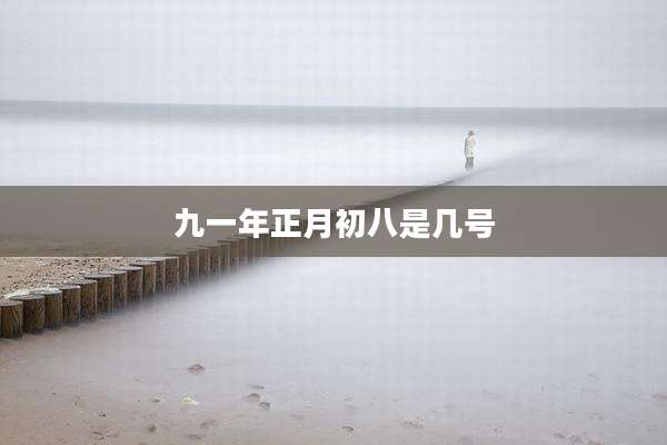 九一年正月初八是几号