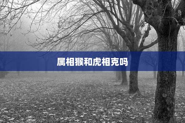 属相猴和虎相克吗