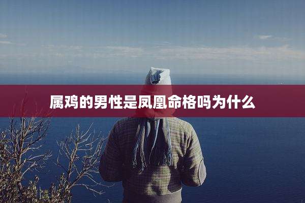 属鸡的男性是凤凰命格吗为什么