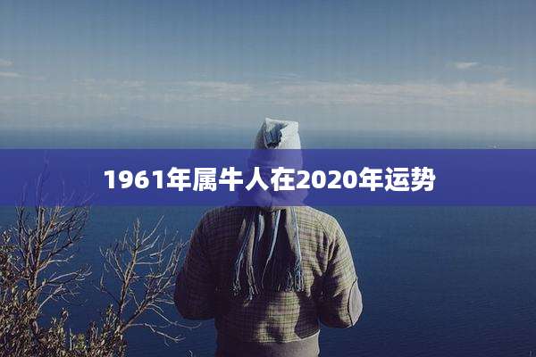 1961年属牛人在2020年运势