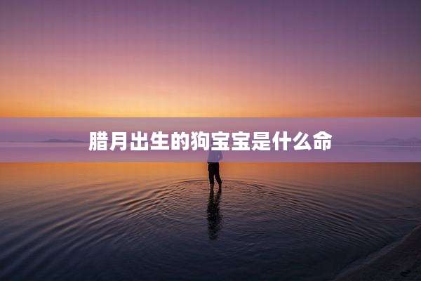 腊月出生的狗宝宝是什么命