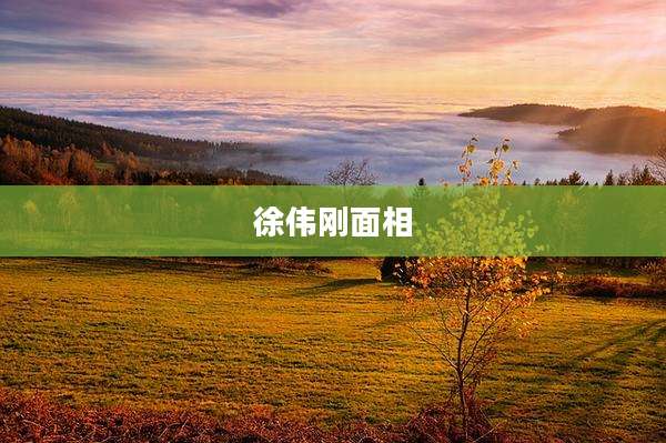 徐伟刚面相