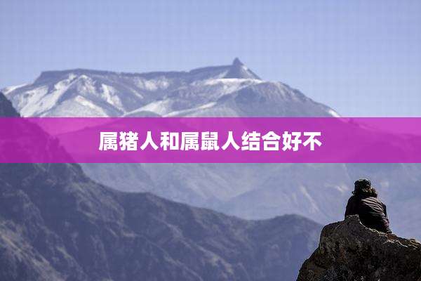 属猪人和属鼠人结合好不
