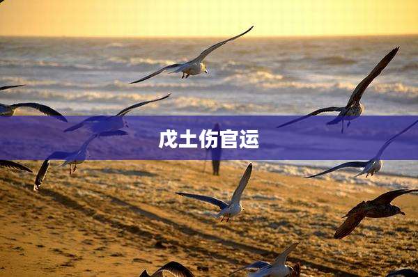 戊土伤官运