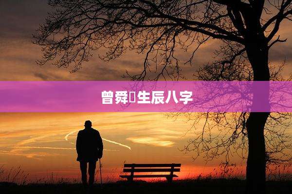 曾舜晞生辰八字