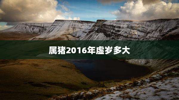 属猪2016年虚岁多大