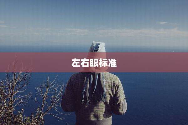 左右眼标准