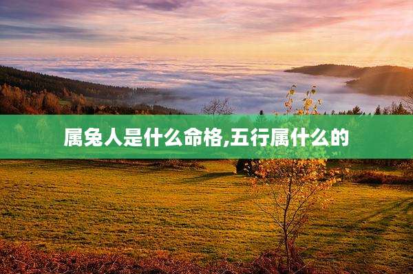属兔人是什么命格,五行属什么的
