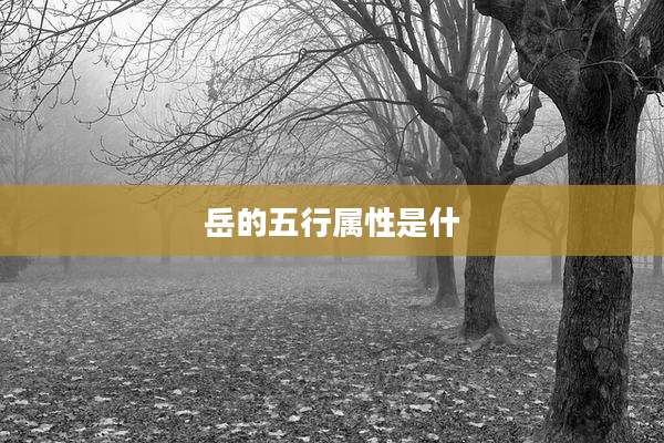 岳的五行属性是什