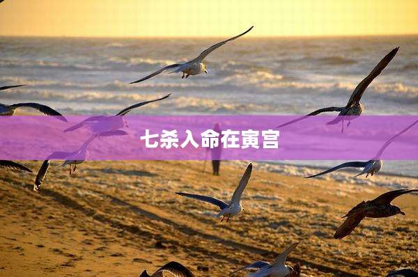 七杀入命在寅宫