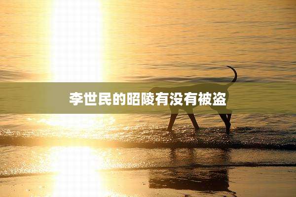 李世民的昭陵有没有被盗