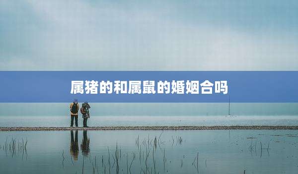 属猪的和属鼠的婚姻合吗