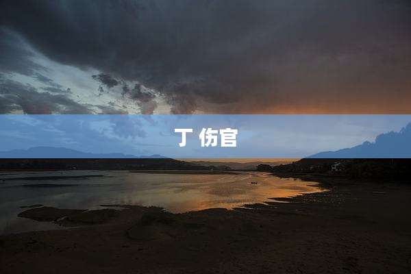 丁 伤官