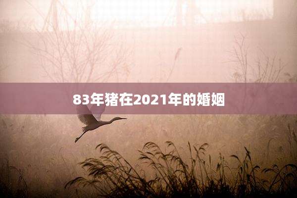 83年猪在2021年的婚姻